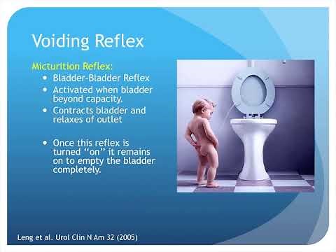 Sacral Neuromodulation for Treatment of Refractory Lower Urinary Tract Symptoms