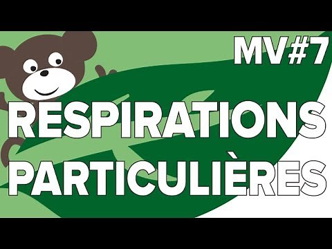 Respirations Particulières MV #7-SVT Collège-Mathrix