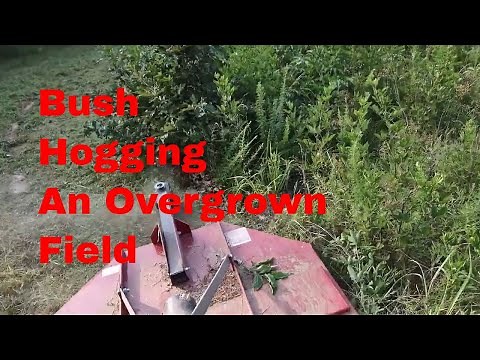 FINALLY! Bush Hogging a Very Overgrown Field Reclaiming Land For Pasture