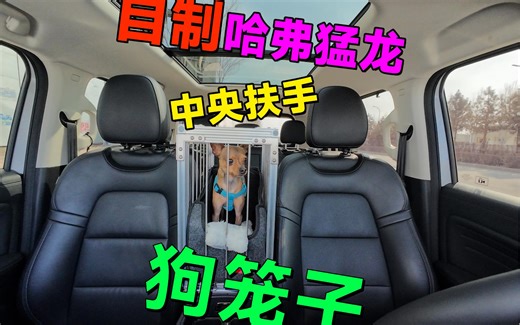 自制哈弗猛龙中央扶手狗笼子