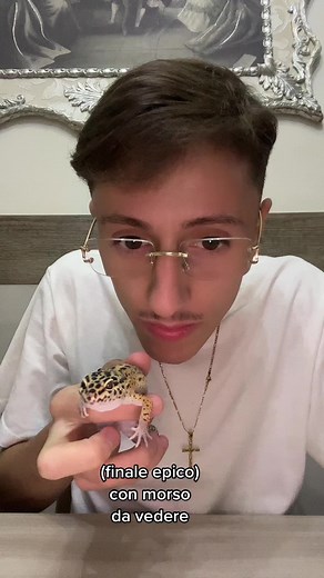 Caring for Spotted Gecko: Final Episode Revealed