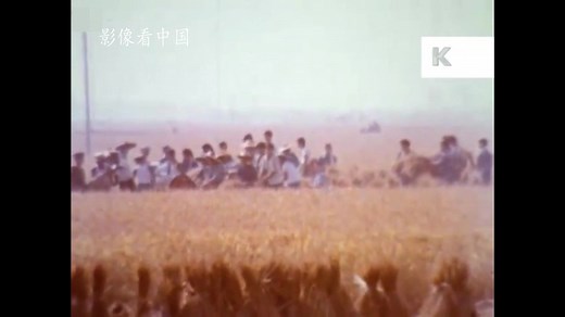 看中国：1970年的农村田间地头，没有机械的农业生产是真苦