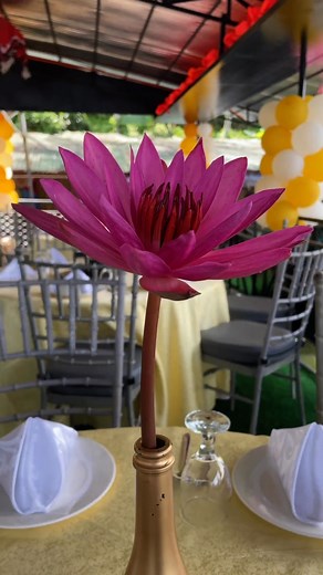 163 reactions | 17th of December 2022 | We have reached another...