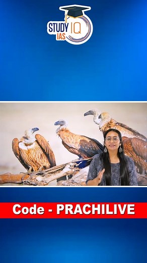 Himalayan Vulture Successfully Bred in Captivity for the First Time in India | UPSC #himalayanvulture #india #shorts #reelsindia #vulture #viralvideos #govtofindia #wildlifeprotection #cse #ips #upsc | Study IQ