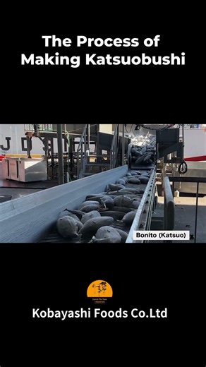 The Process of Making Katsuobushi | The World’s Hardest Food