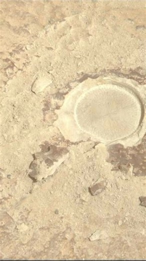 What is this weird circle on Mars? 🧐⭕