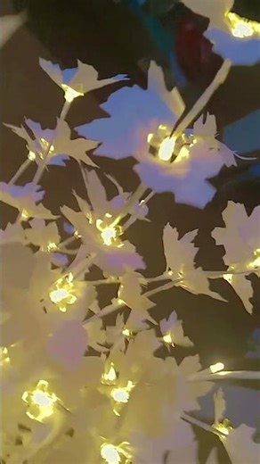 25 de diciembre de 2025