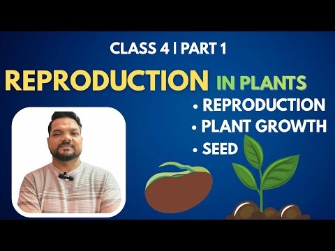 Class 4 Science | Reproduction in Plants - Part 1|Seed structure & Germination|CBSE ICSE|JAC