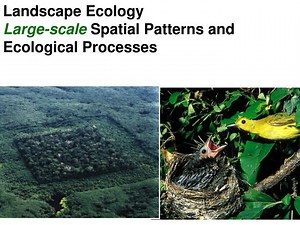 Landscape Ecology Large-scale Spatial Patterns and Ecological Processes - SlideServe