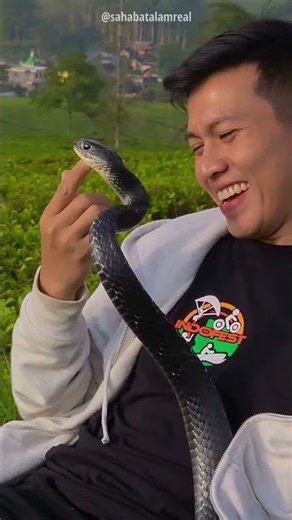 Man plays with pet cobra friend