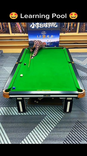 15K views · 61 reactions | Learning Pool 朗 #fyp #foryou #viral #wow #pool #snooker #billiards #snookerlove #snookertime #cueball #facebookreelsviral | Snooker World | Facebook