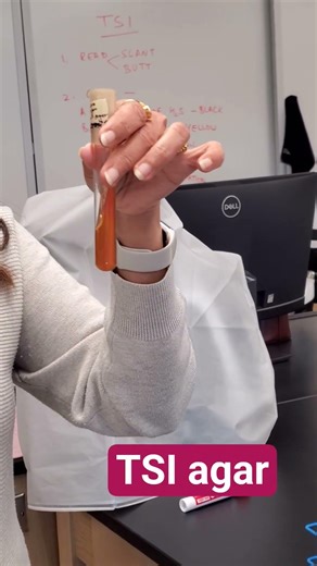 TSI agar test interpretation for yellow slant/orangish bottom A/N