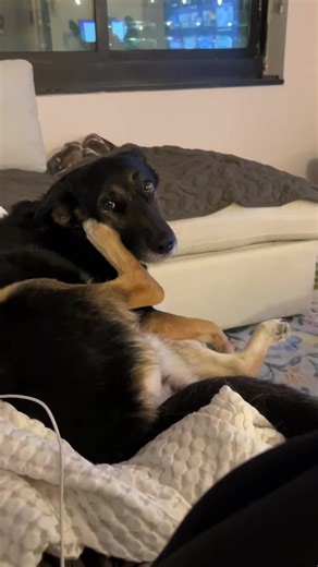 Foot Phone Reception Compared to AT&T