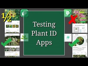 Testing Plant ID Apps
