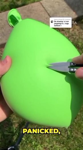 I Saw My Reflection Move Before I Did