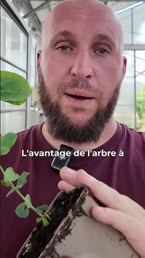 One of the Most Beautiful Trees in the World (Rare and Easy)