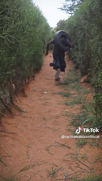 Zim Comedy Showcase: Today's Funniest TikTok Moments