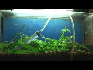 How to Startup Restart Aquarium