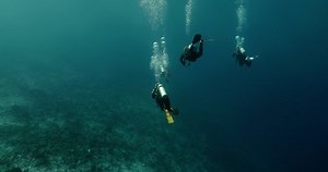 Beautiful View Scuba Divers Swimming Underwater Stock Footage Video (100% Royalty-free) 1046734339 | Shutterstock