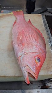5.1M views · 32K reactions | The Most Popular Red Snapper Fish Clening Cutting #fbreelsfypシ゚viralfbreelsfypシ゚viral #fishcutting #foryoupage #followers #reelsvideo #shortvideo #viralvideo #shorts #fyp | SH Fresh & Fish | Facebook
