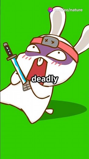 Samurai Rabbit's Snowy Showdown: A Cliffhanger!