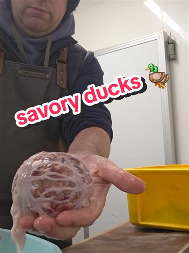 Getting ready to make some seriously delicious savory ducks today! 🦆. This recipe is a real crowd-pleaser and I can't wait to share it. 🍁 Hope everyone is having a great day! #HomeCooking #DuckRecipe #foodiefun #butcher