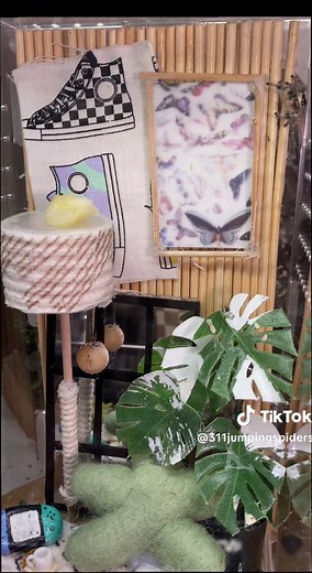 that about sums her up actually💁🏼‍♀️#jumpingspider