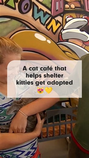 26 reactions | Coffee ☕ + cats  = magic. In Shelter Me: Hearts and...