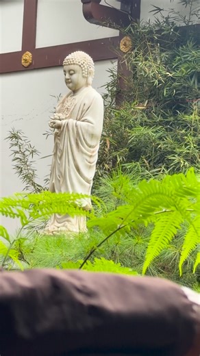 2.8K views · 106 reactions | …. Among the Six Recollections, the...