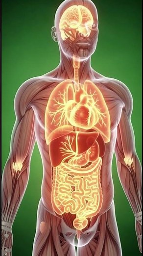 How to Use Apple Health App Like a Pro (Step-by-Step)