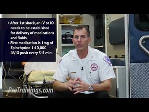 What is Pulseless Arrest V-Fib?