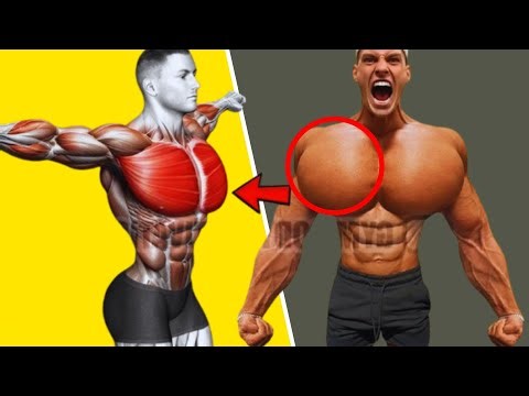 5 Best Dumbbell Chest Exercises to Build Bigger Pecs Fast at Home or Gym