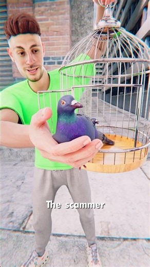 How The Tourist Bird Scam Works 🤯