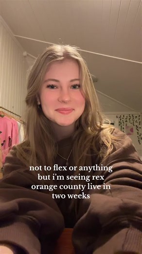 Rex Orange County Concert Live Performance - Television So Far So Good