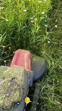 How I clear tall grass/weeds using new Sears Craftsman walk behind string trimmer Part 3 and review