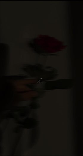 Se que otro amor encontrarás ❤️‍🩹🥺 #parati #viral #musik #paradedicar #tiktokviral 🎶🎧💘