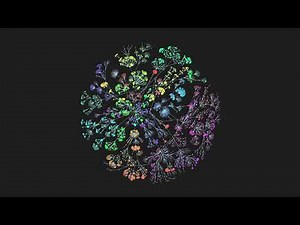 Attack of the Graph: Visual Tools for Cyber Analysis - Christian Miles