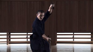 20K views · 997 reactions | [BUDOJAPAN.com] Nito-ryu kenjutsu of...