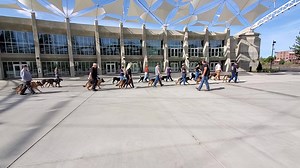 45 reactions · 4 comments | PK9 TRAINING | Protection K9 Training Club | Facebook