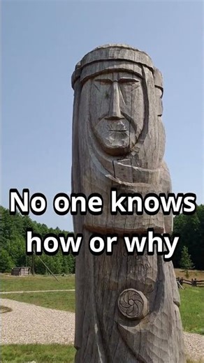 400 Trees BENT 90° in Poland! 🤯