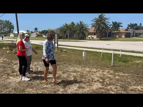 Cape Coral’s Burrowing Owls: A Local Gem with a Growing Population