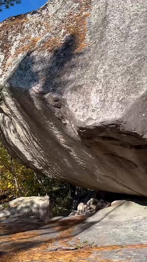 5.3K views · 35 reactions | Au bout du sentier, elle t’attend.直 Une...