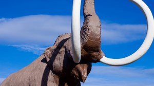 8 Animals Science Wants To Bring Back From Extinction