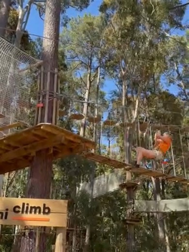 Zipline Guides: Safety Pros and Tree Lovers in Action