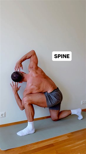 Stiff back? Back pain? Try doing rotations and extensions for your back! Not sure where to start? Go check out my mobility programs. #backpainexercises | Igor system