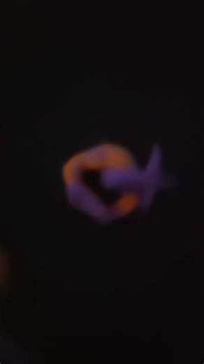 alweee numberblocks sneeze part 81