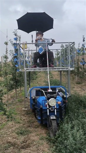 A Practical Elevated Vehicle Design for Efficient Apple Orchard Care