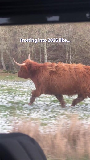 Experience Scotland's Scenic Beauty in 2026