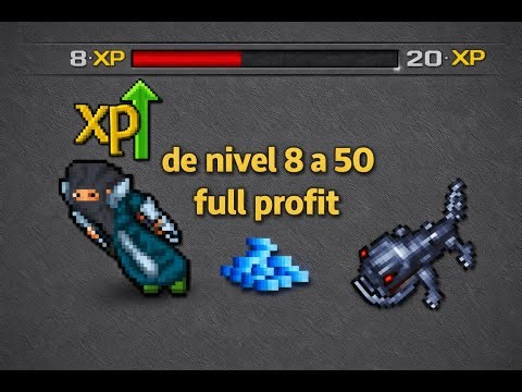 Guia Principiantes Tibia 2026