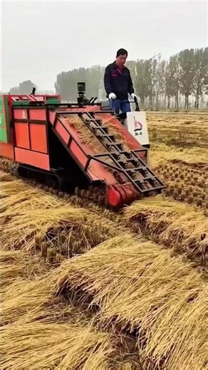 High-Speed Rice Straw Collector Machine | Farm Efficiency Boost #farmtech #harvest #usa